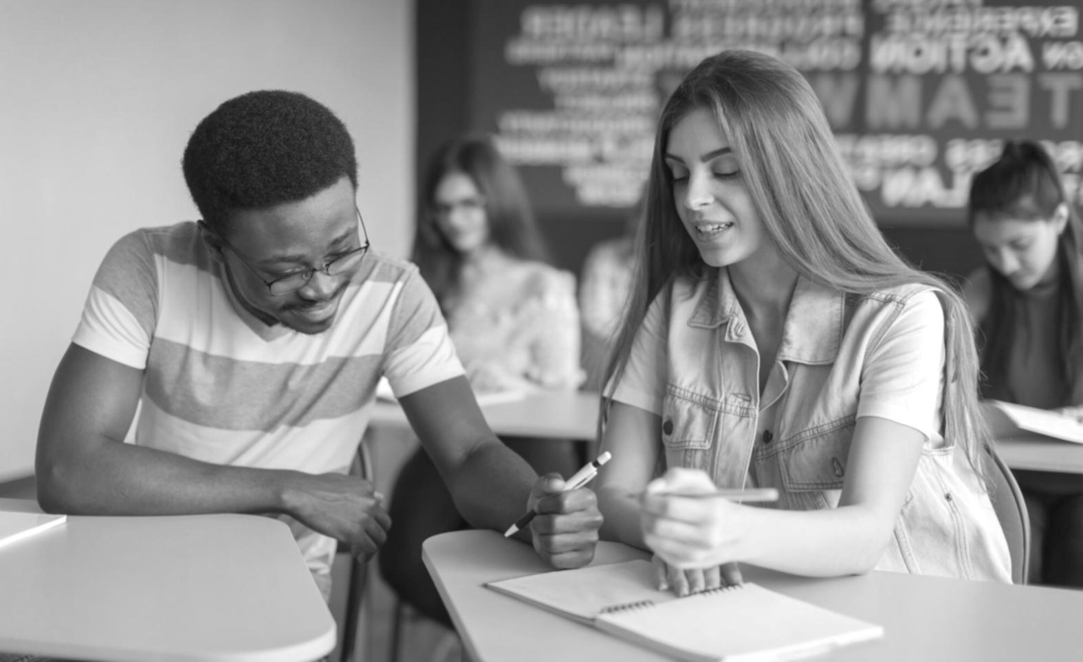 Strategic budget analysis and risk assessment methodology